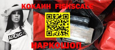 стаф Кимры