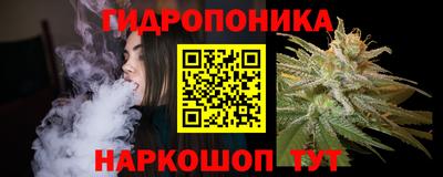 скорость Кингисепп